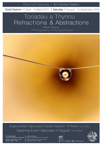 Refractions and Abstractions Poster